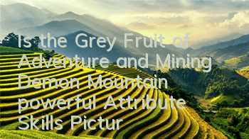 Is the Grey Fruit of Adventure and Mining Demon Mountain powerful? Attribute Skills Picture Record