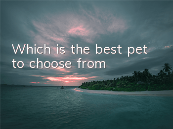Which is the best pet to choose from?