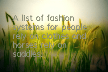 A list of fashion systems for people rely on clothes and horses rely on saddles.