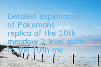 Detailed explanation of Pokemon's replica of the 10th meadow 2 level, guide to the 10th meadow 2