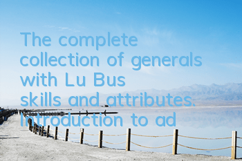 The complete collection of generals with Lu Bu's skills and attributes. Introduction to advanced equipment for generals