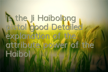 Is the Ji Haibolong pistol good? Detailed explanation of the attribute power of the Haibolong pistol