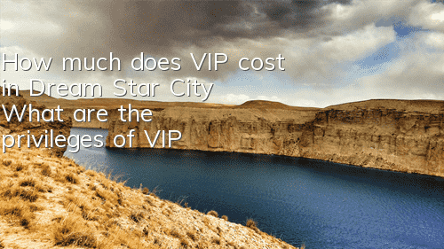 How much does VIP cost in Dream Star City? What are the privileges of VIP