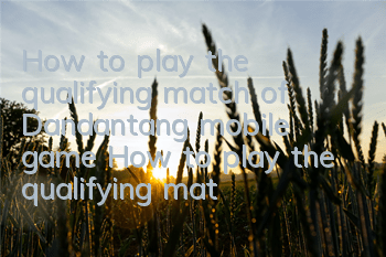 How to play the qualifying match of Dandantang mobile game? How to play the qualifying match