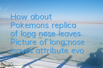 How about Pokemon's replica of long nose leaves? Picture of long nose leaves attribute evolution
