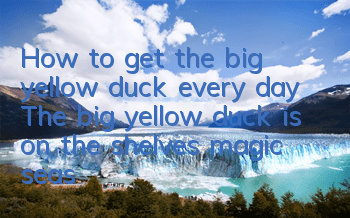 How to get the big yellow duck every day? The big yellow duck is on the shelves magic season
