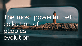 The most powerful pet collection of people's evolution