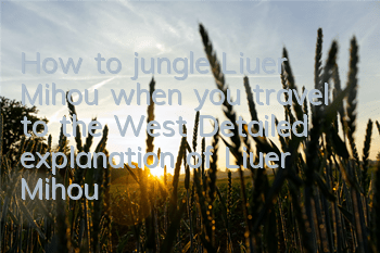 How to jungle Liuer Mihou when you travel to the West? Detailed explanation of Liuer Mihou jungle guide