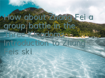 How about Zhang Fei, a group battle in the Three Kingdoms? Introduction to Zhang Fei's skill attributes