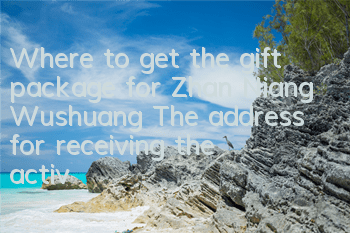 Where to get the gift package for Zhan Niang Wushuang? The address for receiving the activation code of Zhan Niang Wushuang