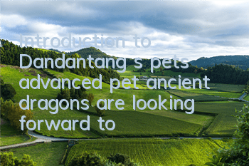 Introduction to Dandantang s pets, advanced pet ancient dragons are looking forward to