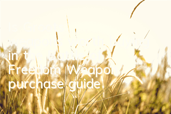 Is Groot's weapons worth buying in the Battle of Freedom? Weapon purchase guide