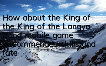 How about the King of the King of the Langya Bang mobile game? Recommended skills and fate lineup