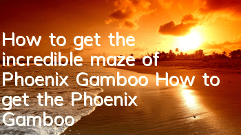 How to get the incredible maze of Phoenix Gamboo? How to get the Phoenix Gamboo?