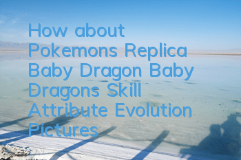 How about Pokemon's Replica Baby Dragon? Baby Dragon's Skill Attribute Evolution Pictures
