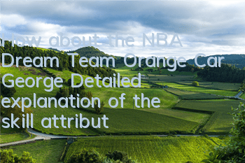 How about the NBA Dream Team Orange Car George? Detailed explanation of the skill attributes of Orange Car George