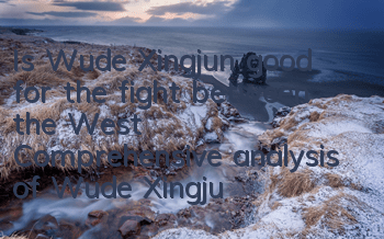 Is Wude Xingjun good for the fight between the West? Comprehensive analysis of Wude Xingjun skill attributes