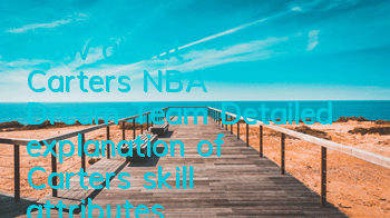 How about Carter's NBA Dream Team? Detailed explanation of Carter's skill attributes