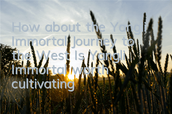How about the Yangli Immortal Journey to the West? Is Yangli Immortal worth cultivating?