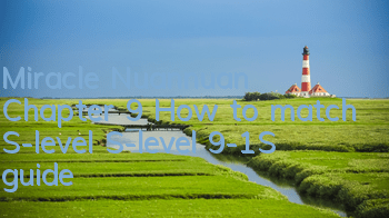 Miracle Nuannuan Chapter 9 How to match S-level S-level 9-1S guide