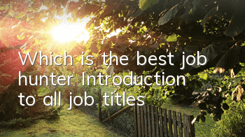 Which is the best job hunter? Introduction to all job titles