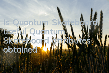 Is Quantum Skateboard useful? Quantum Skateboard attributes obtained?
