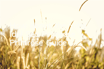 How about the Vital Idol Sea Primrose? Primrose Guide