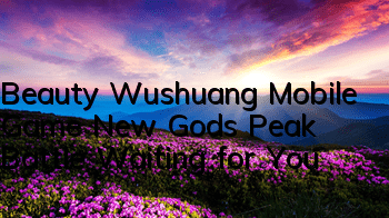 Beauty Wushuang Mobile Game New Gods, Peak Battle Waiting for You