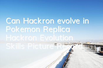 Can Hackron evolve in Pokemon Replica? Hackron Evolution Skills Picture Record