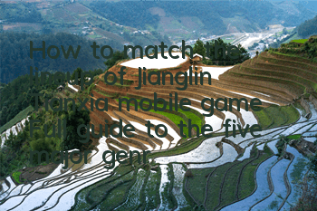 How to match the lineup of Jianglin Tianxia mobile game? Full guide to the five major genres