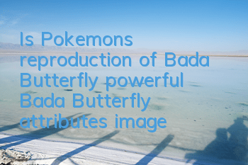 Is Pokemon's reproduction of Bada Butterfly powerful? Bada Butterfly attributes image