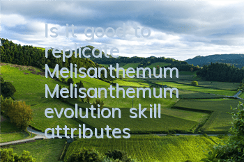 Is it good to replicate Melisanthemum? Melisanthemum evolution skill attributes