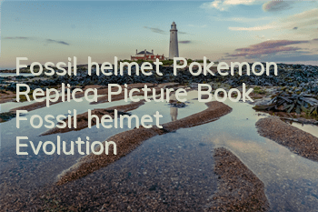 Fossil helmet Pokemon Replica Picture Book Fossil helmet Evolution