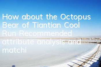 How about the Octopus Bear of Tiantian Cool Run? Recommended attribute analysis and matching of octopus bear