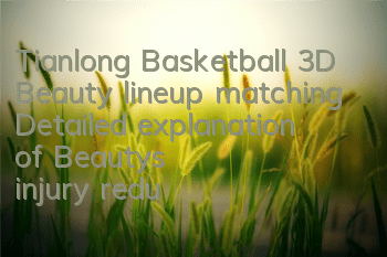 Tianlong Basketball 3D Beauty lineup matching Detailed explanation of Beauty's injury reduction