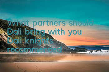 What partners should Dali bring with you? Dali knights recommended