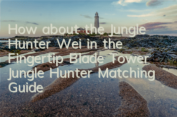 How about the Jungle Hunter Wei in the Fingertip Blade Tower? Jungle Hunter Matching Guide