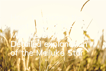 How to choose the front row of the Meiluke Story? Detailed explanation of the Meiluke Story tank