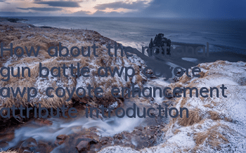 How about the national gun battle awp coyote awp coyote enhancement attribute introduction