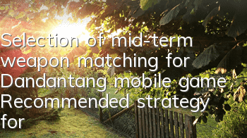 Selection of mid-term weapon matching for Dandantang mobile game Recommended strategy for mid-term weapon matching