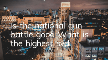 Is the national gun battle good? What is the highest svd