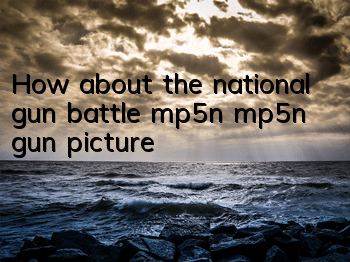 How about the national gun battle mp5n mp5n gun picture