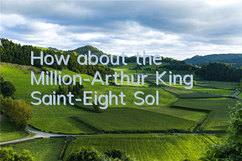 How about the Million-Arthur King Saint-Eight Sol?