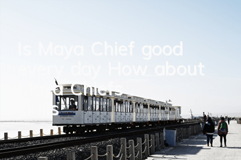 Is Maya Chief good every day? How about Maya Chief's skills?