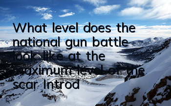 What level does the national gun battle look like at the maximum level of the scar? Introduction to the enhanced attributes of the scar