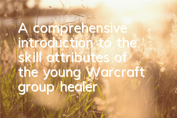 A comprehensive introduction to the skill attributes of the young Warcraft group healer