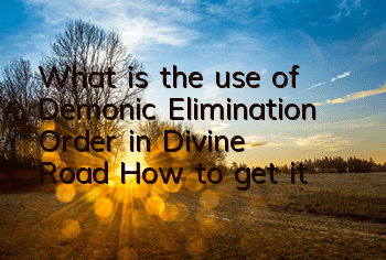 What is the use of Demonic Elimination Order in 