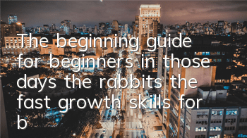 The beginning guide for beginners in those days, the rabbits, the fast growth skills for beginners