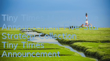 Tiny Times Mobile Game Announcement Five-Star Strategy Collection Tiny Times Announcement Five-Star Strategy