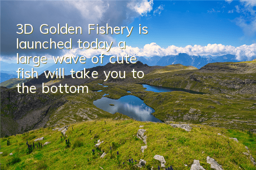 3D Golden Fishery is launched today, a large wave of cute fish will take you to the bottom of the sea